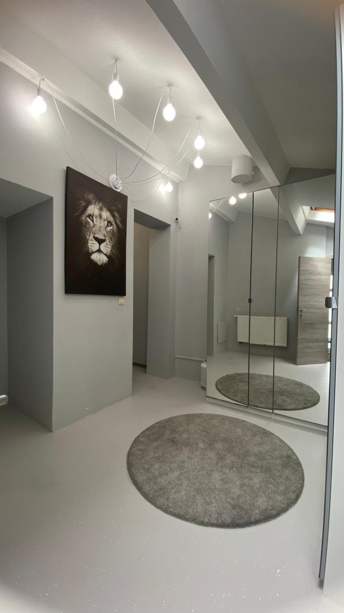 Next2Airport - Appartement House Of Lions Ransart Exteriér fotografie